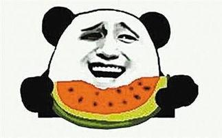 吃瓜不想吃,为何吃瓜群众不愿再吃瓜？