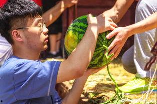 海边吃瓜大表哥,夏日海滨的欢乐时光