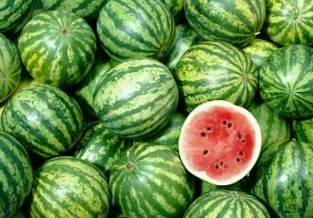 深圳附近吃瓜事件,一场网络热议背后的真相与反思