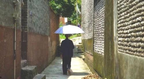 道口铺吃瓜事件,一场引发热议的网络狂欢