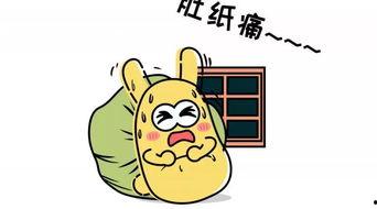 吃瓜群众快手,揭秘网红背后的故事